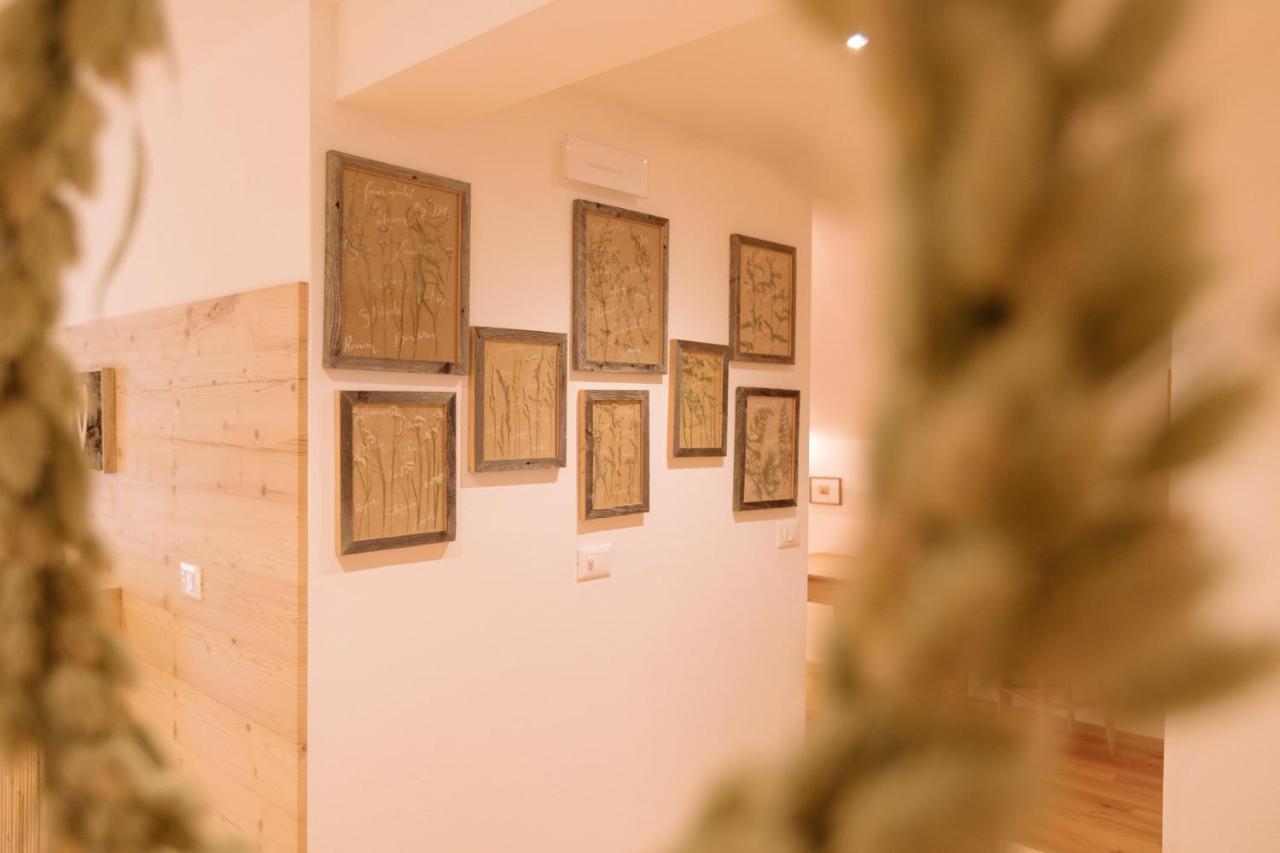 Ferienwohnung Schupf Wieserhof 阿尔迪诺 外观 照片